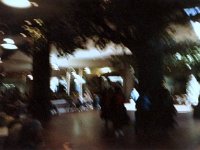 photos 2000-200900427